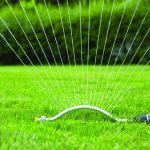 article image - water